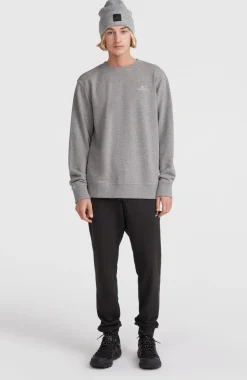 O'Neill Small Logo Crew Sweater | Silver Melee