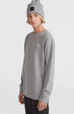 O'Neill Small Logo Crew Sweater | Silver Melee