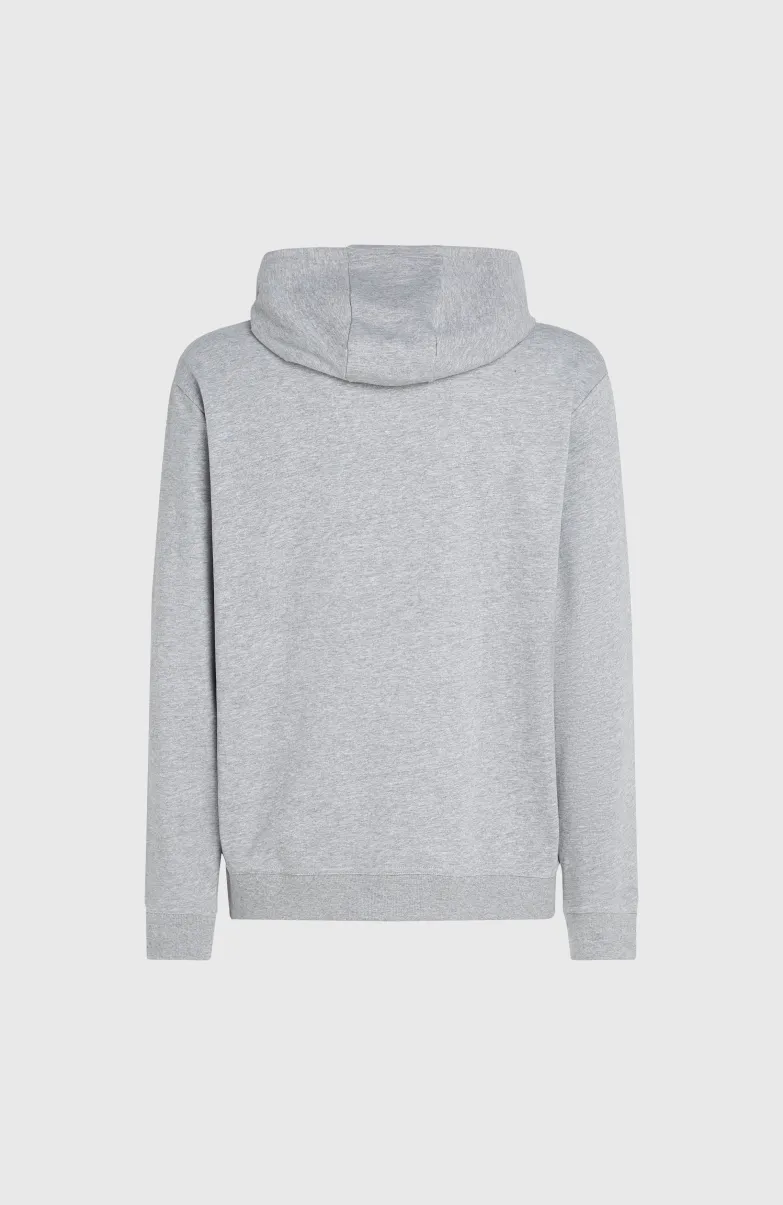 O'Neill Small Logo Hoodie | Silver Melee