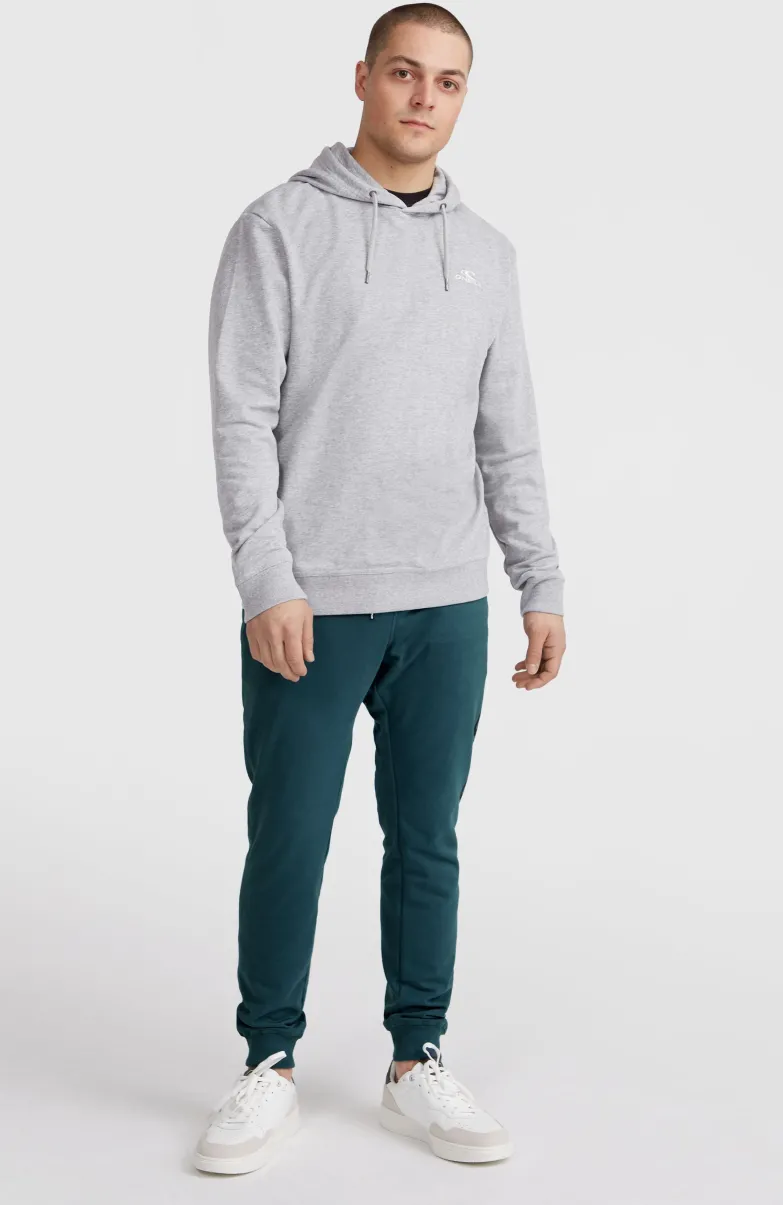 O'Neill Small Logo Hoodie | Silver Melee