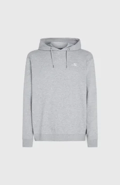 O'Neill Small Logo Hoodie | Silver Melee