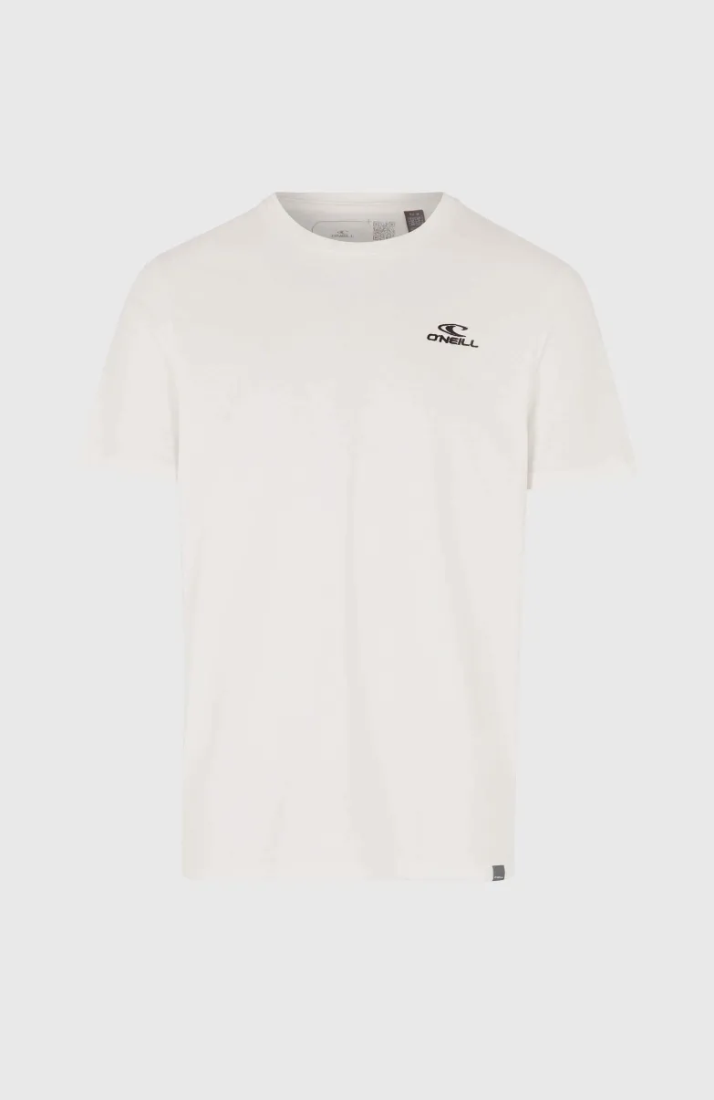 O'Neill Small Logo T-shirt | Snow White