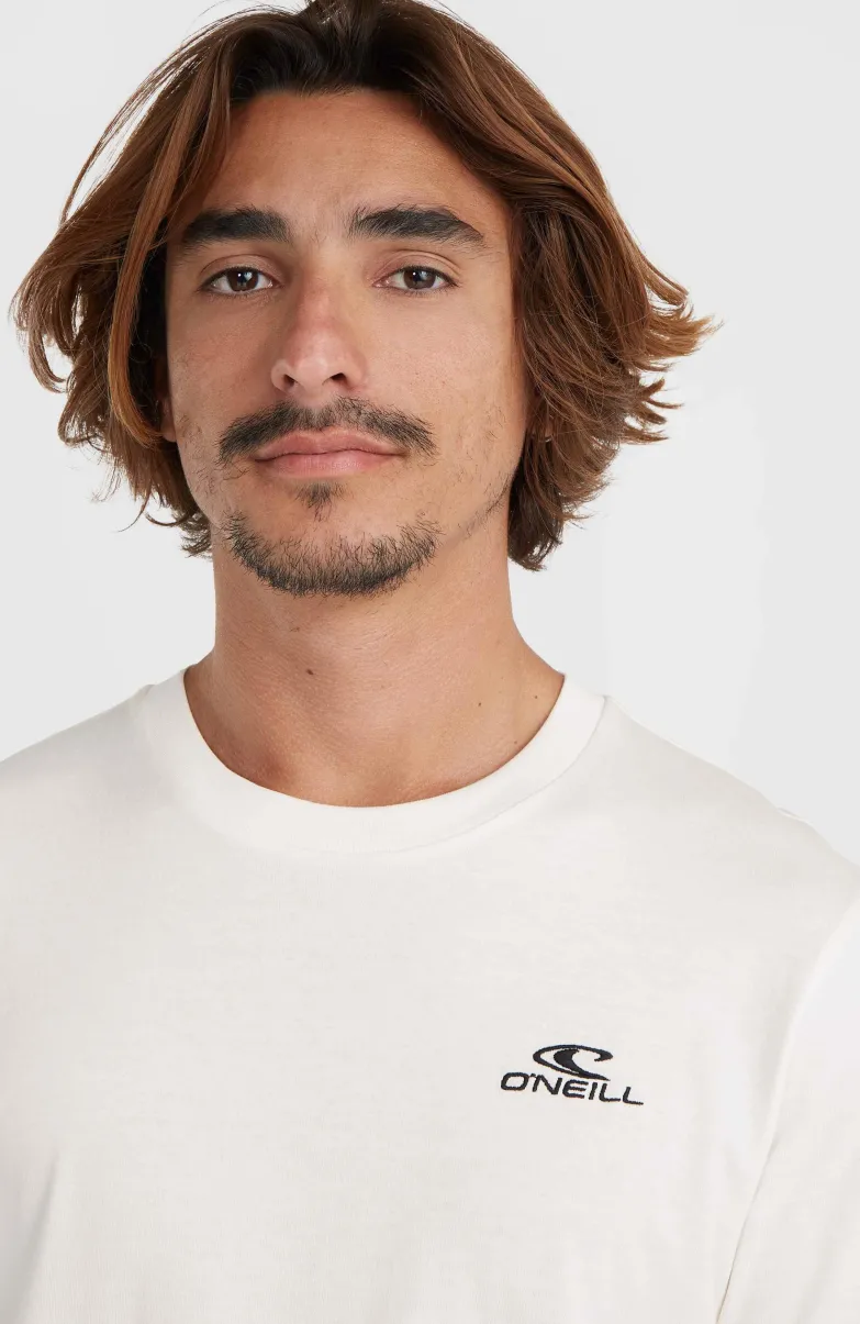 O'Neill Small Logo T-shirt | Snow White