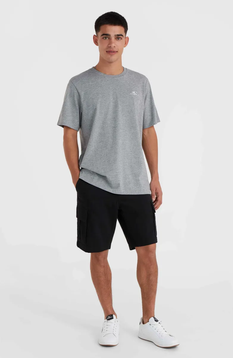 O'Neill Small Logo T-shirt | Silver Melee