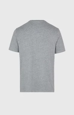 O'Neill Small Logo T-shirt | Silver Melee