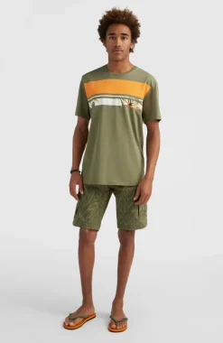 Short Park Cargo | Deep Lichen Magic Carpet