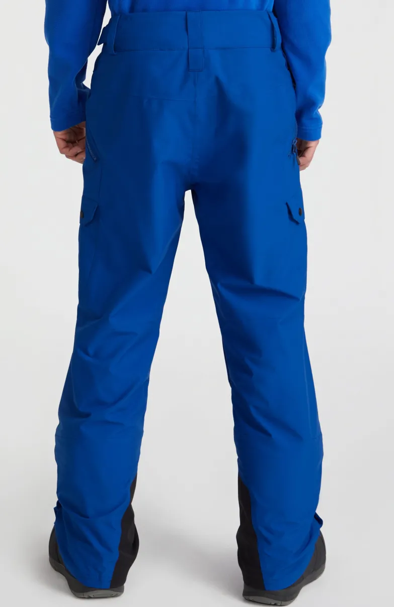 Skibroek Cargo | Surf The Web Blue
