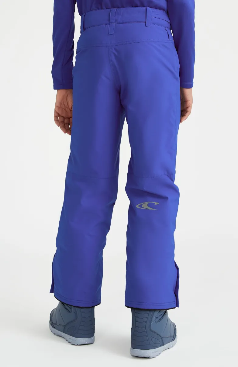 Skibroek Hammer | Surf The Web Blue