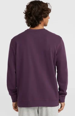 Small Logo Crew Sweater | Aubergine