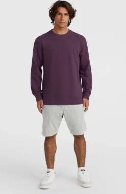 Small Logo Crew Sweater | Aubergine
