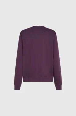Small Logo Crew Sweater | Aubergine