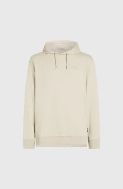 Small Logo Hoodie | Atmosphere