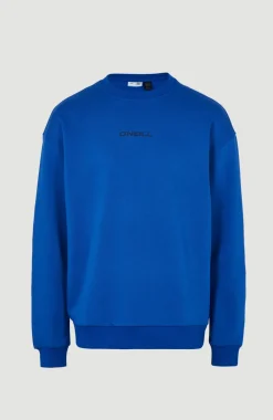 Sweater Future Surf Society | Surf The Web Blue