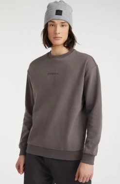 Sweater Future Surf Society | Raven