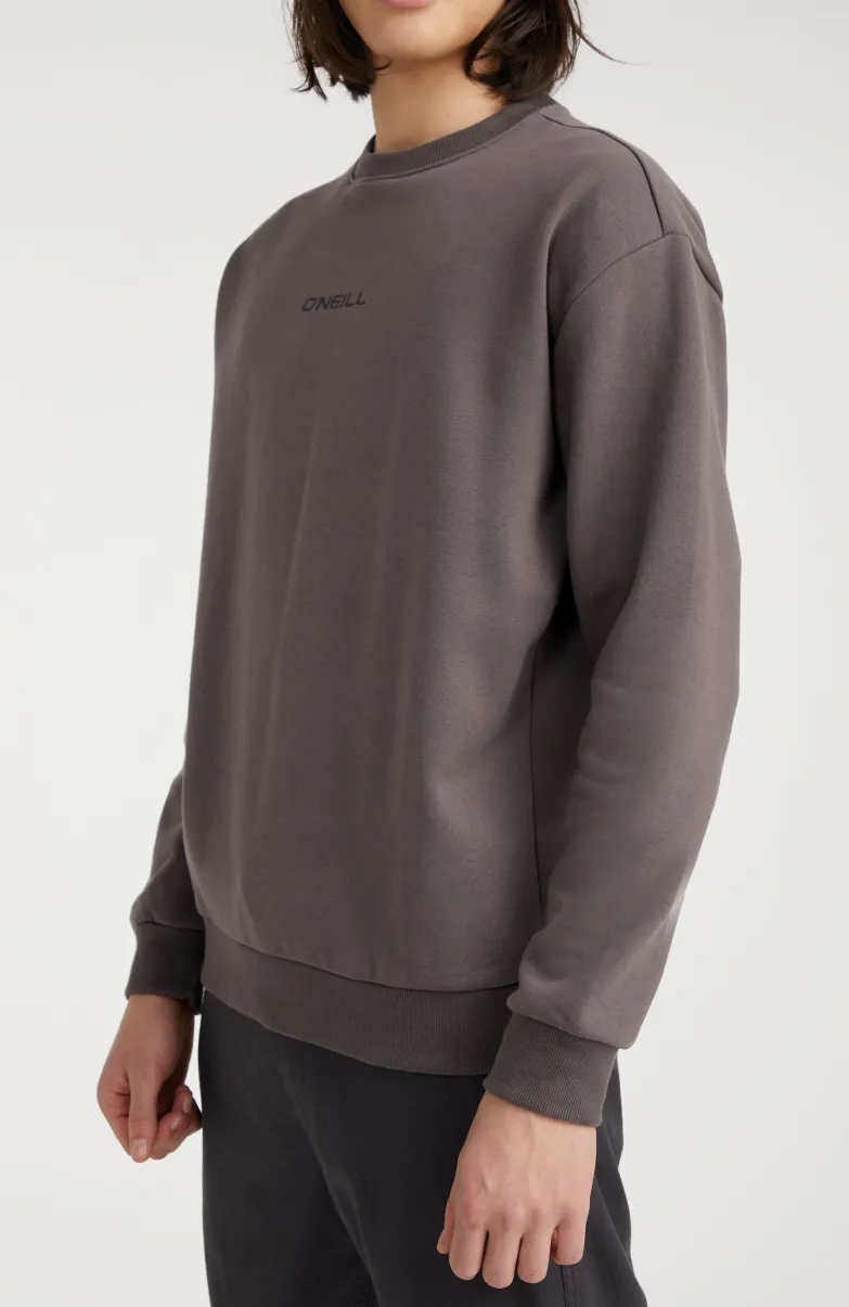 Sweater Future Surf Society | Raven