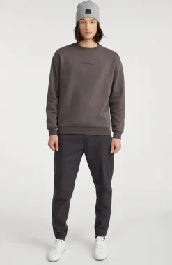 Sweater Future Surf Society | Raven
