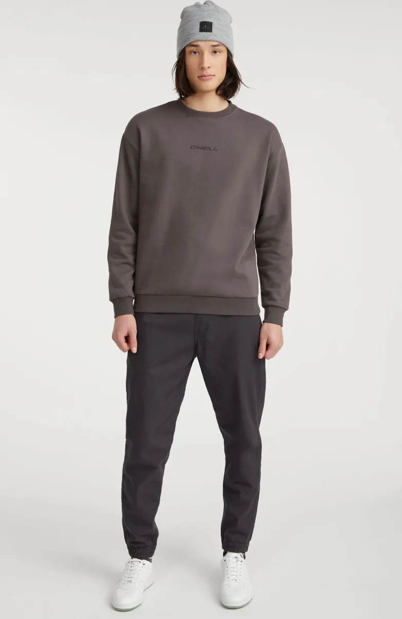 Sweater Future Surf Society | Raven