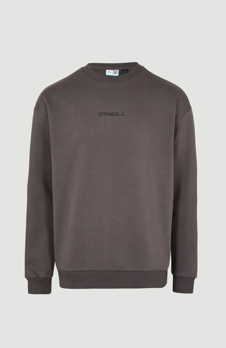 Sweater Future Surf Society | Raven
