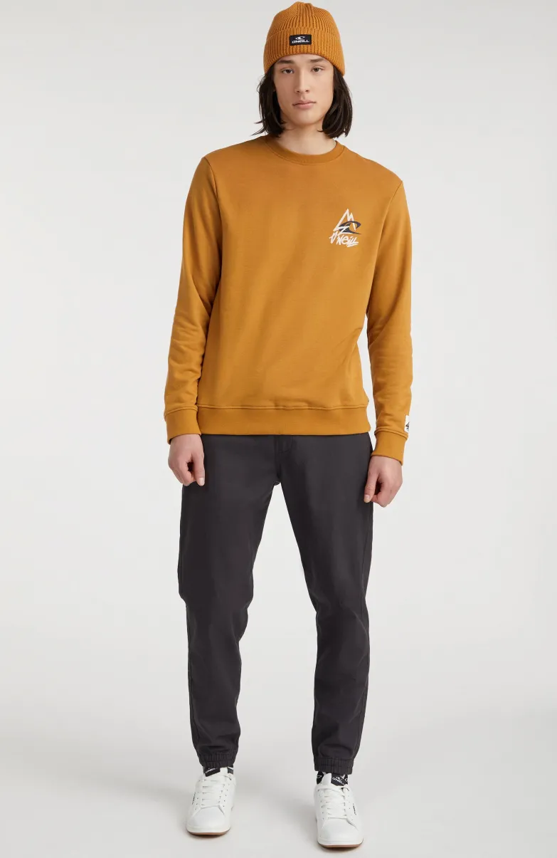 Sweater Torrey Crew | Rich Caramel