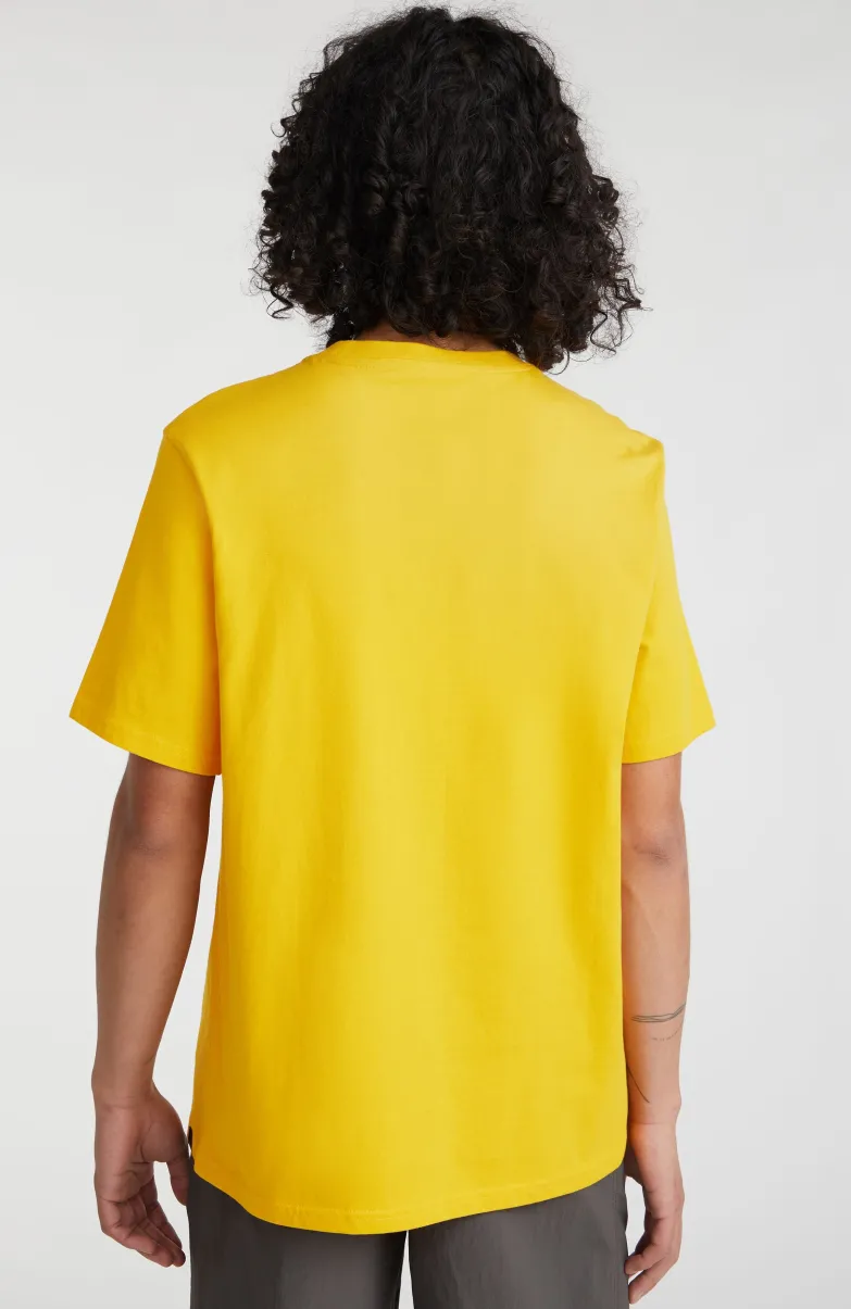 T-shirt Hollyridge | Luminous Days