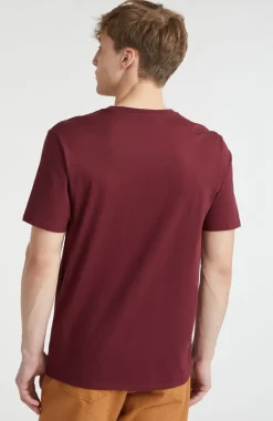 T-shirt O'Neill Small Logo | Windsor Wine