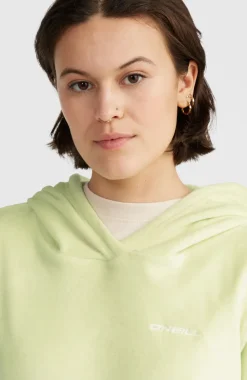 Velour Fleecehoodie | Lime Wash