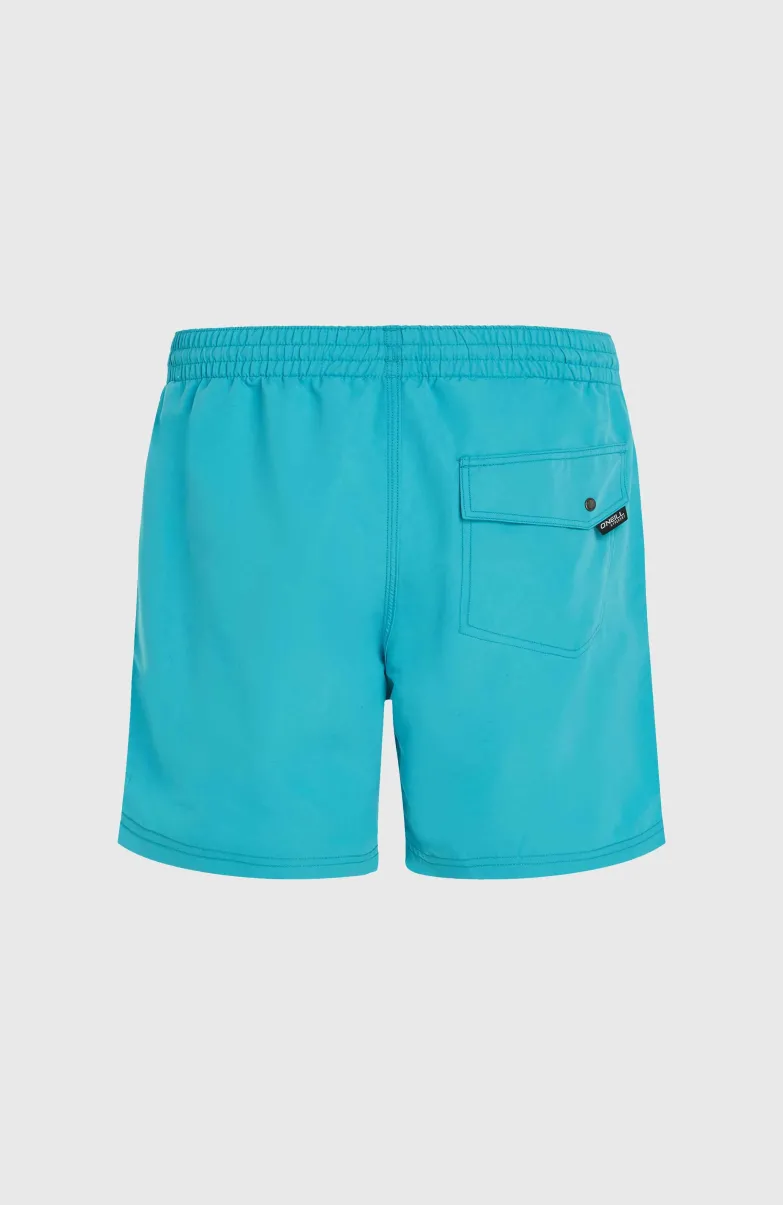 Vert 16'' Zwembroek | Neon Blue