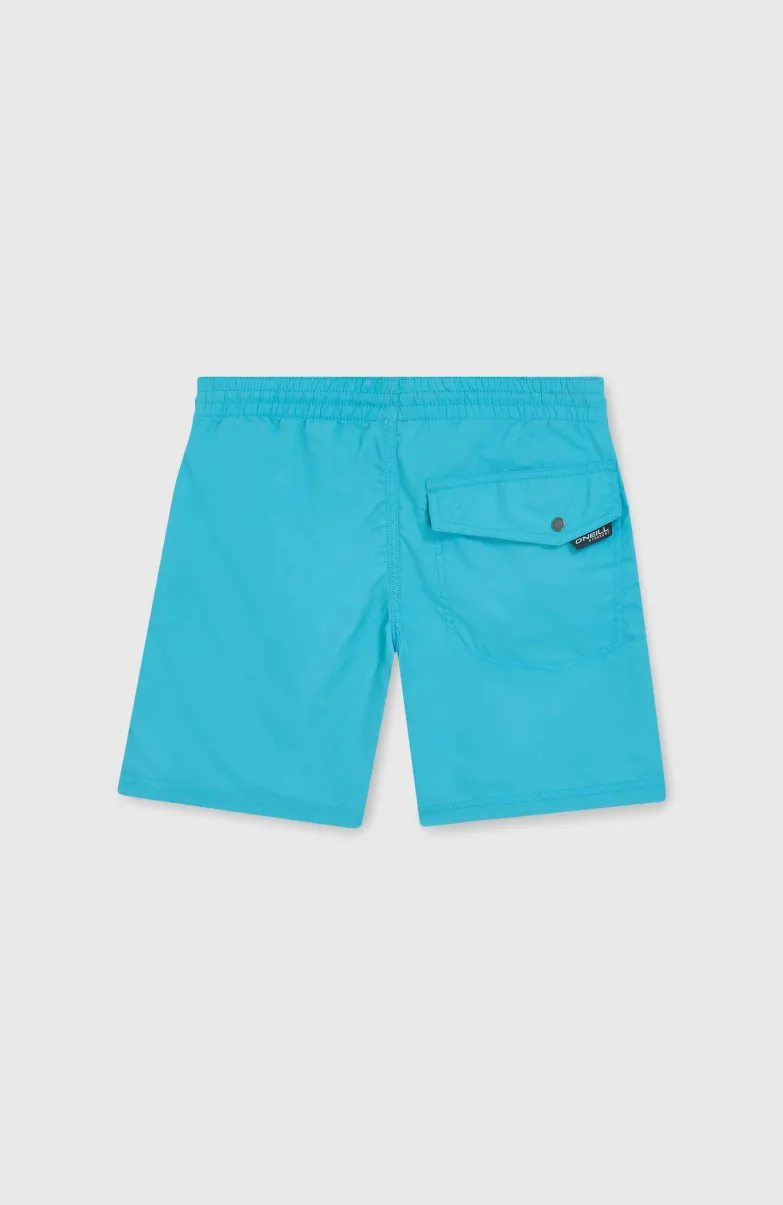 Vert 14" Zwembroek | Neon Blue