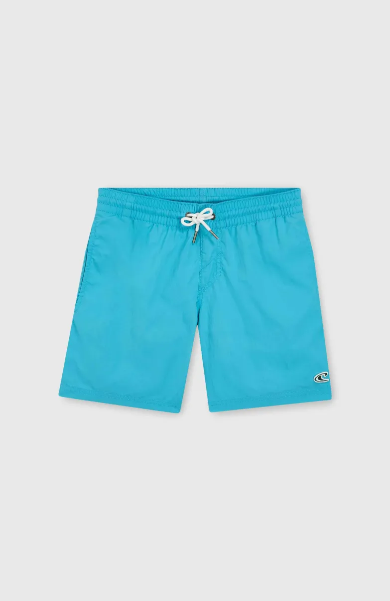 Vert 14" Zwembroek | Neon Blue