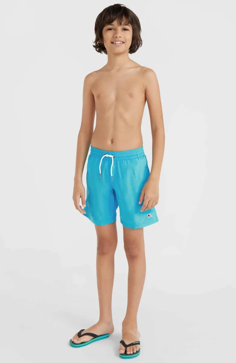Vert 14" Zwembroek | Neon Blue