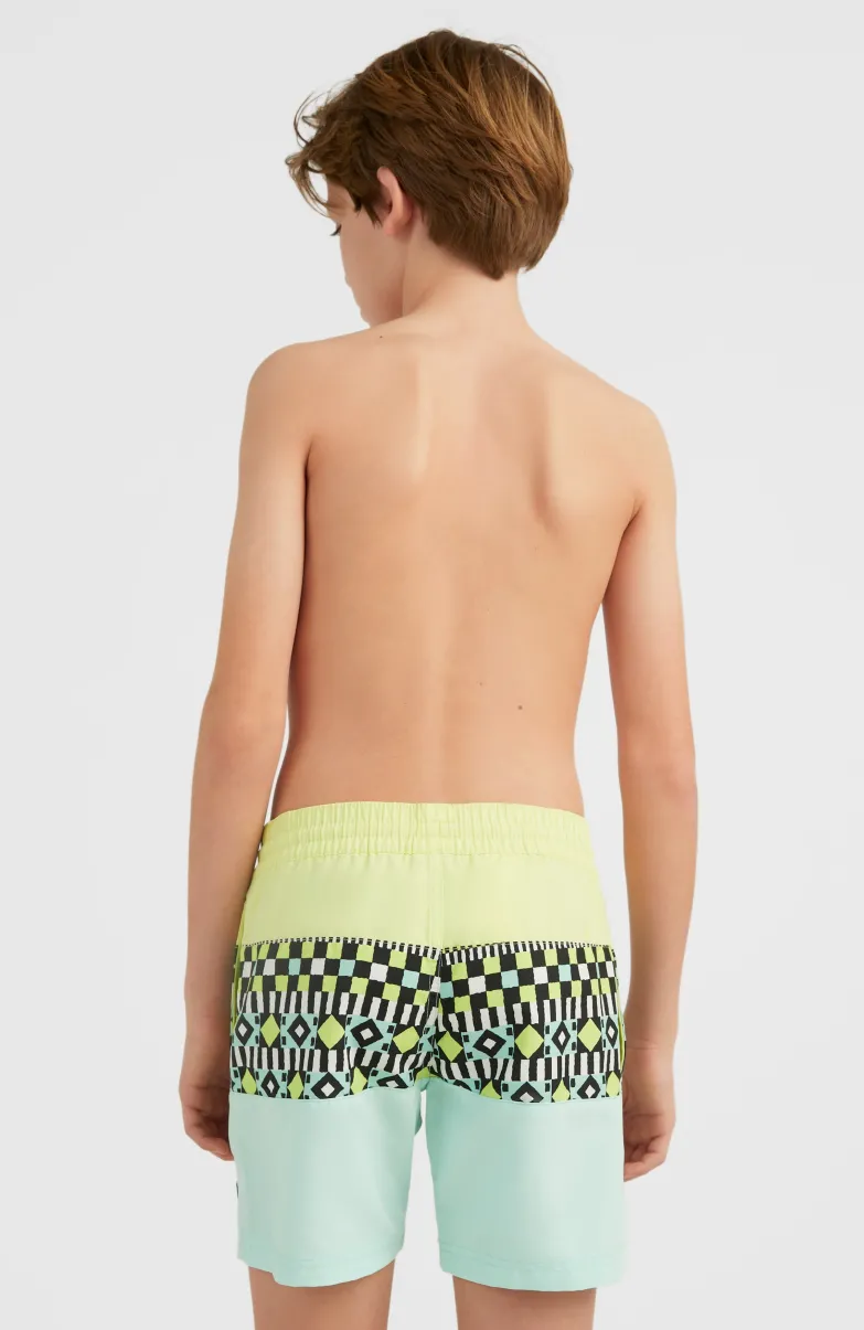 Zwemshort Cali Block 13'' | Beach Glass Colour Block