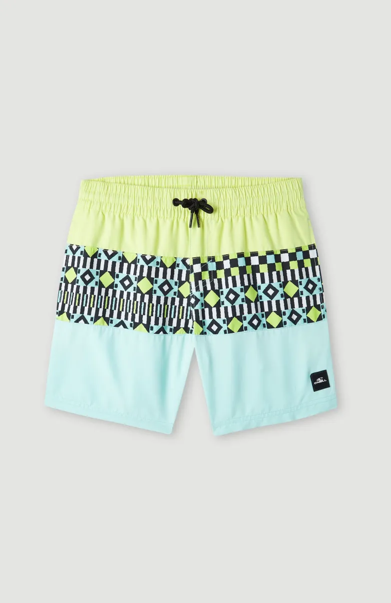 Zwemshort Cali Block 13'' | Beach Glass Colour Block
