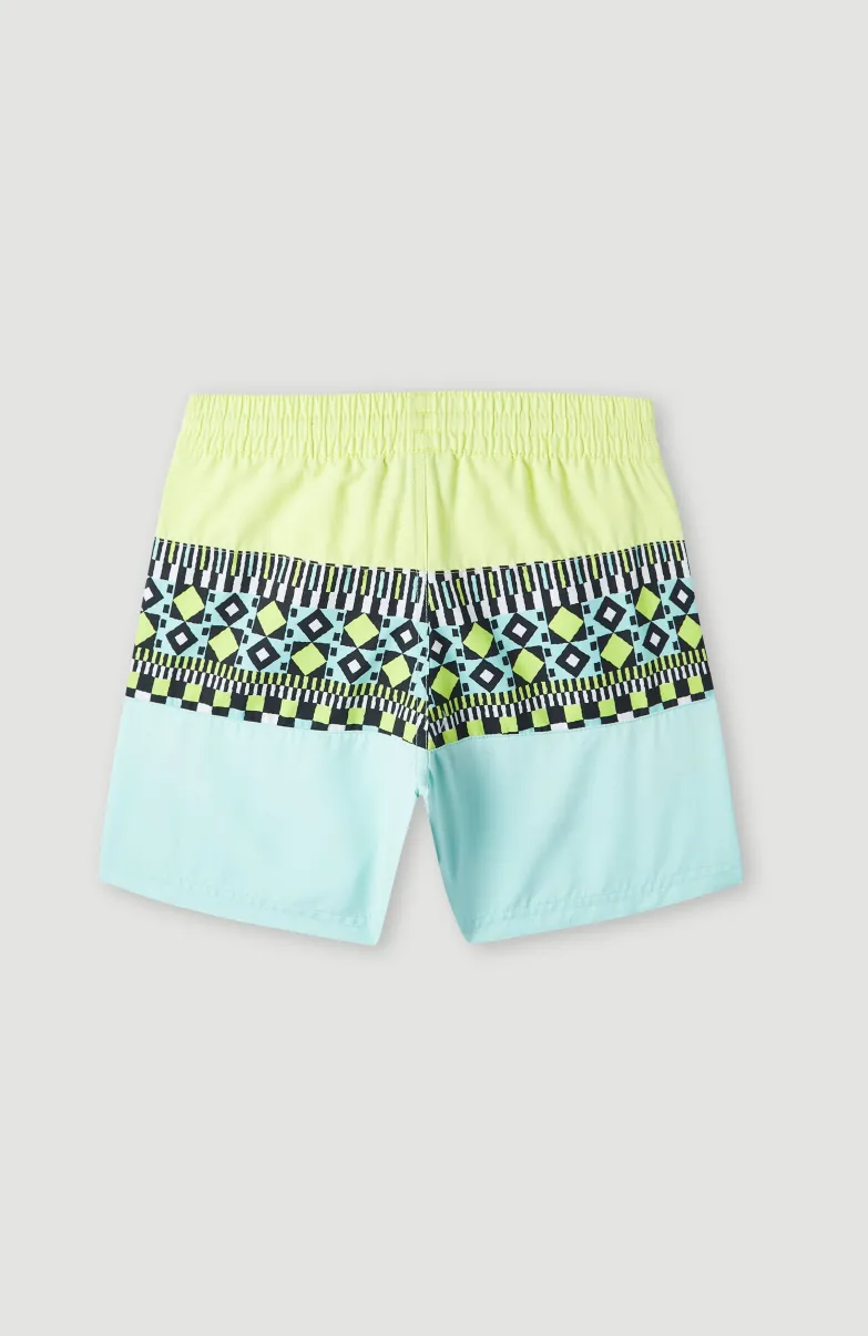 Zwemshort Cali Block 13'' | Beach Glass Colour Block