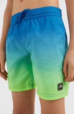 Zwemshort Cali Gradient 14'' | Dark Blue Simple Gradient