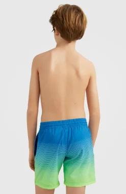 Zwemshort Cali Gradient 14'' | Dark Blue Simple Gradient