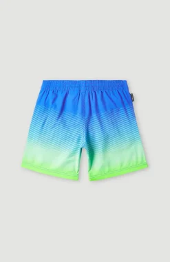 Zwemshort Cali Gradient 14'' | Dark Blue Simple Gradient