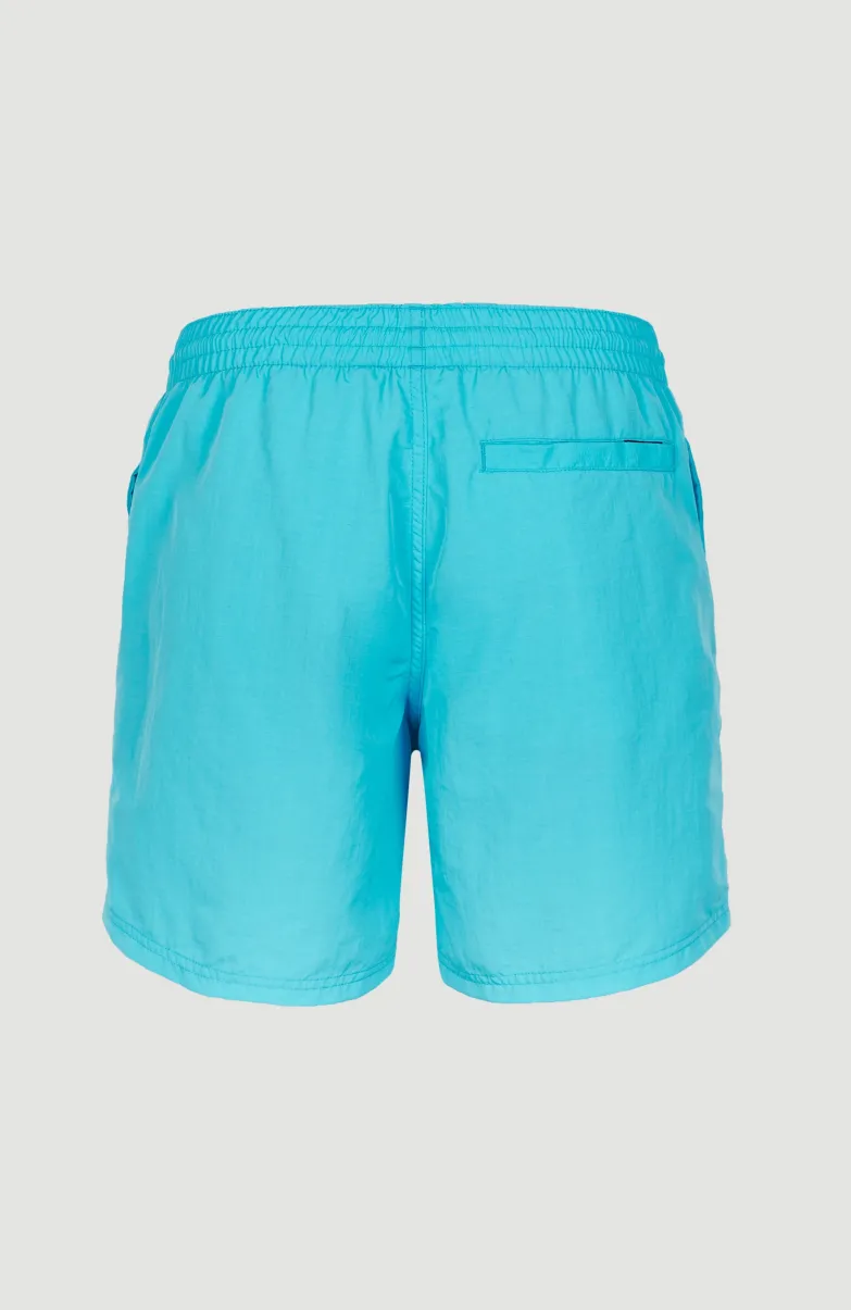 Zwemshort Cali Melted Print 16'' | Bachelor Button