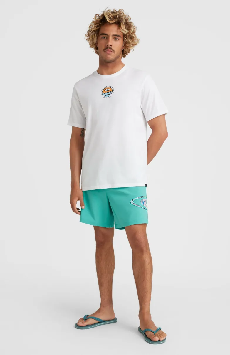 Zwemshort Cali Ocean 16'' | Sea Green