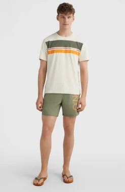 Zwemshort Original Cali 16'' | Deep Lichen Green