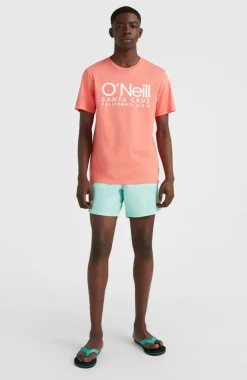 Zwemshort Vert 16'' | Beach Glass