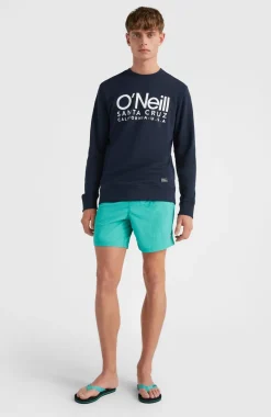 Zwemshort Vert 16'' | Sea Green