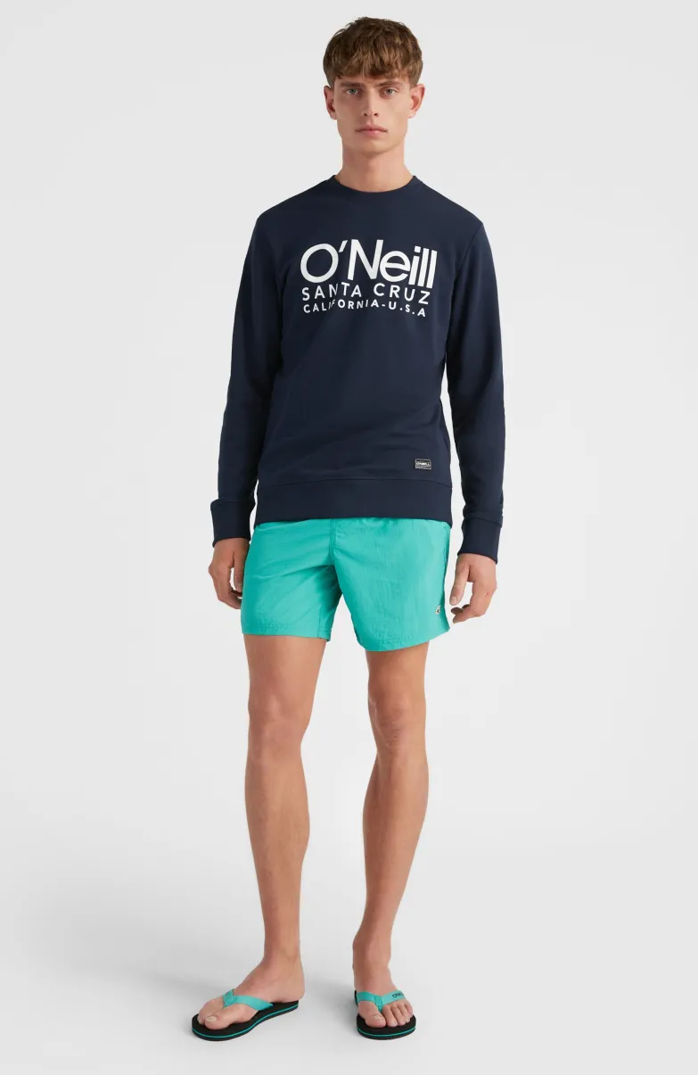 Zwemshort Vert 16'' | Sea Green