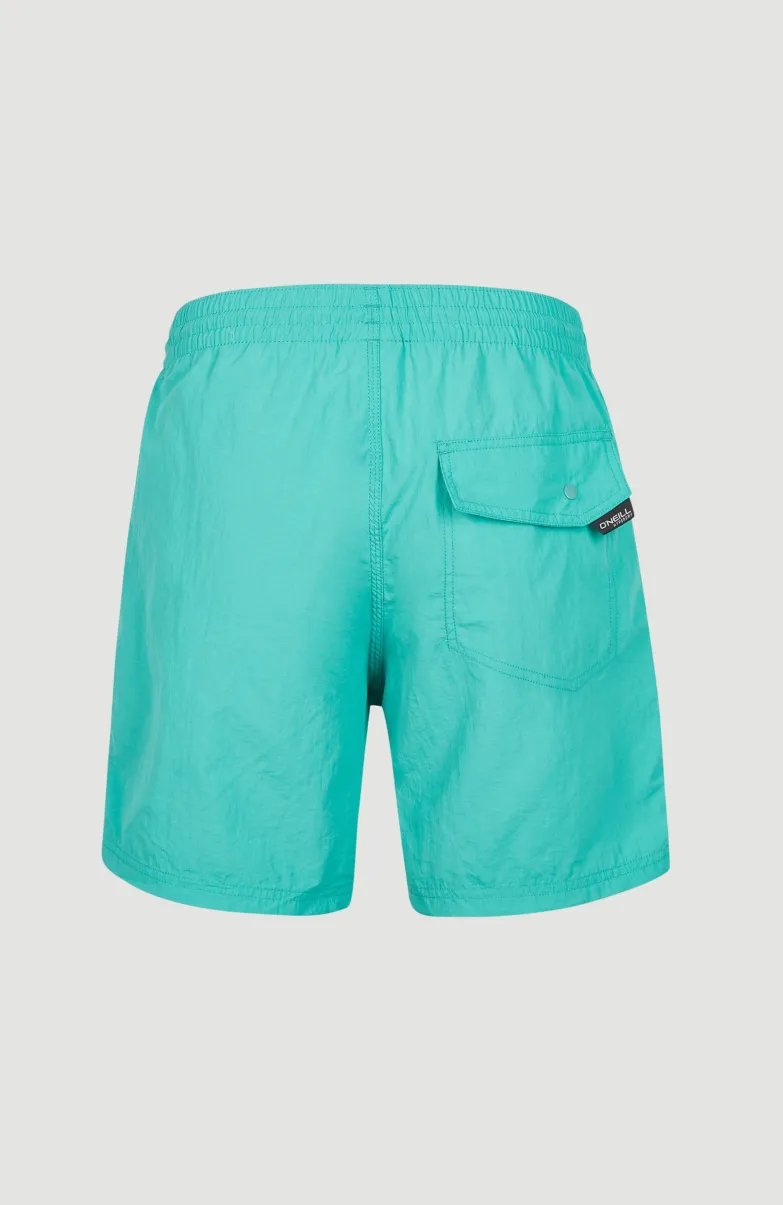Zwemshort Vert 16'' | Sea Green