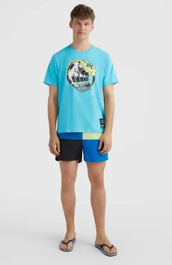 Zwemshort Wilder Colourblock 16'' | Princess Blue Colour Block